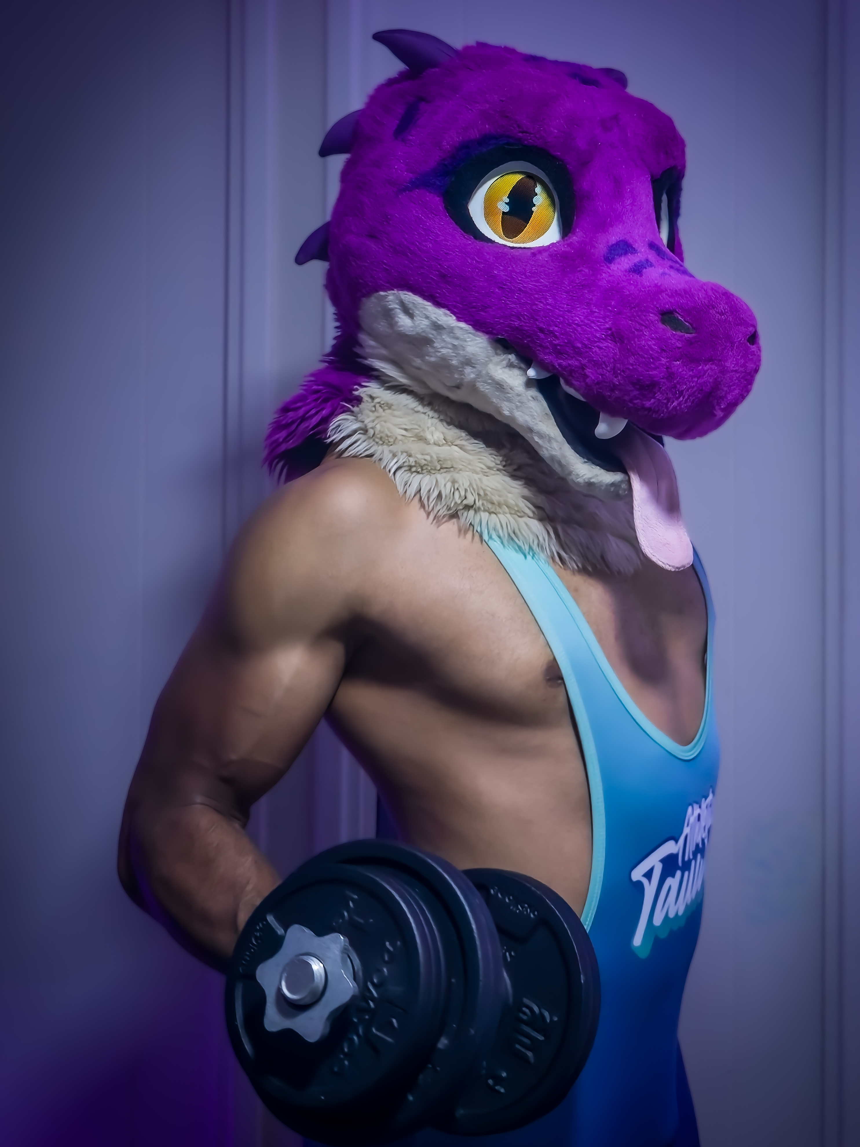 Pawmping Iron: Un gimnasio con garras